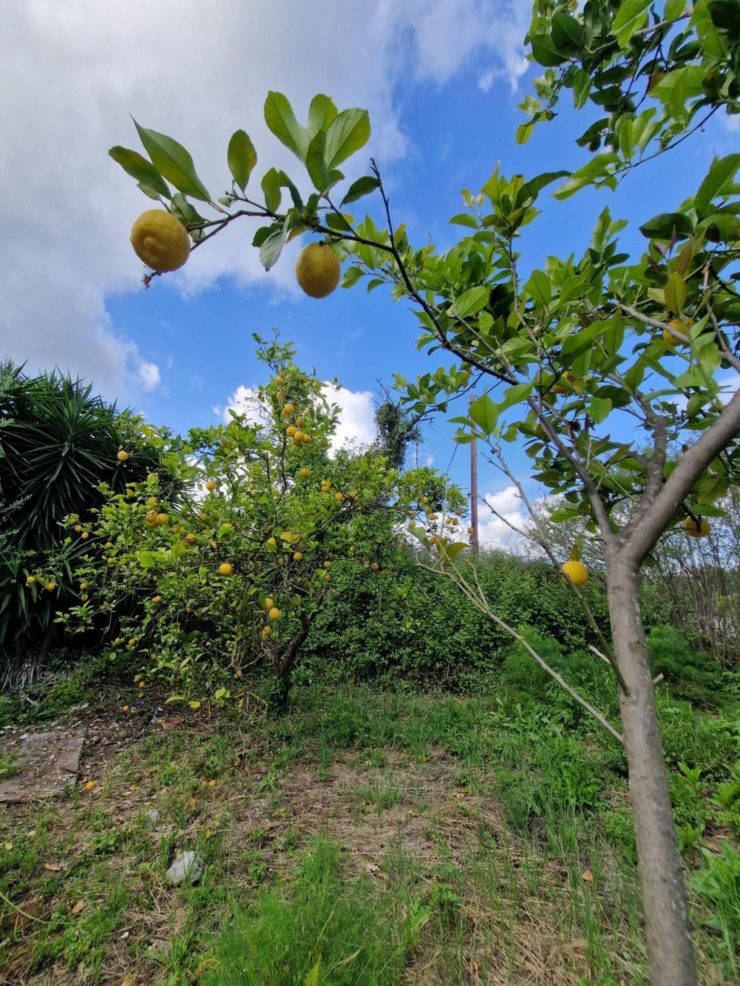 ArménoiStefanos Garden公寓 外观 照片