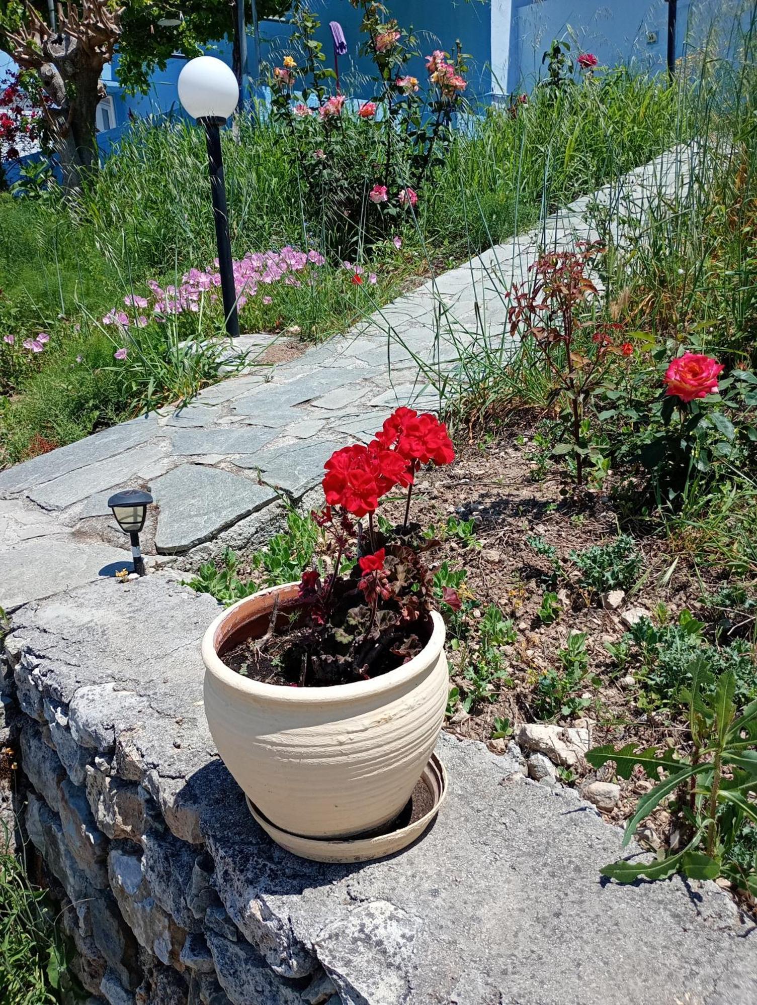 ArménoiStefanos Garden公寓 客房 照片